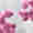 ESMO-Advanced-Course-on-Deep-Dive-in-CDK4/6-Inhibitors-Data-in-Breast-Cancer-1000x1000