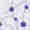 ESMO-Preceptorship-on-Gastroesophageal-Cancer-1000x1000