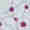 ESMO-Preceptorship-Ovarian-Cancer-1000x1000